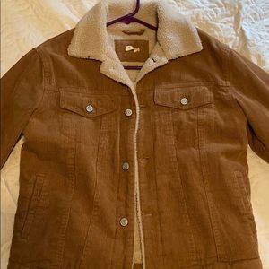 Furry corduroy jacket